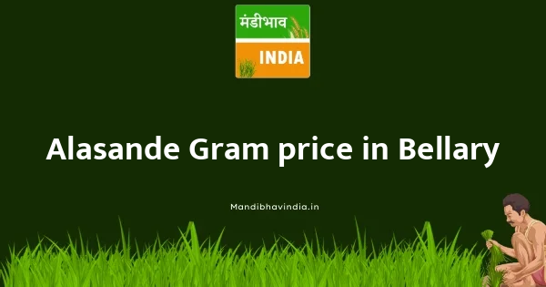 Alasande Gram price